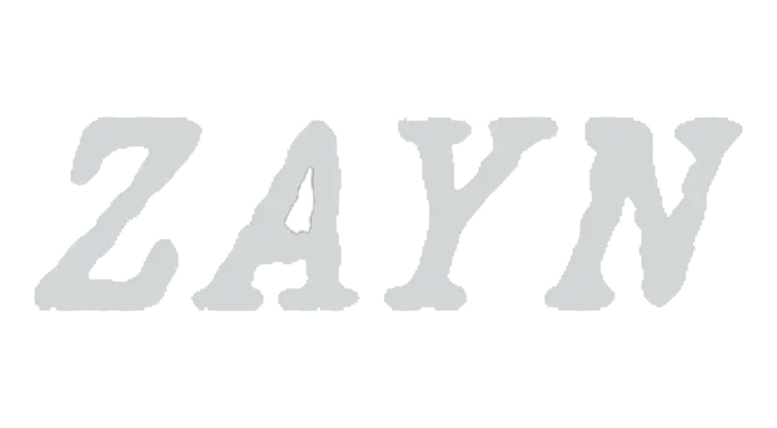 Zayn<br />Tour desde Pachuca