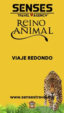 Reino Animal<br />Lugar: Otumba / San Juan Teotihuacán, Estado de México<br /><br />Salida: Tour desde Pachuca y Tizayuca