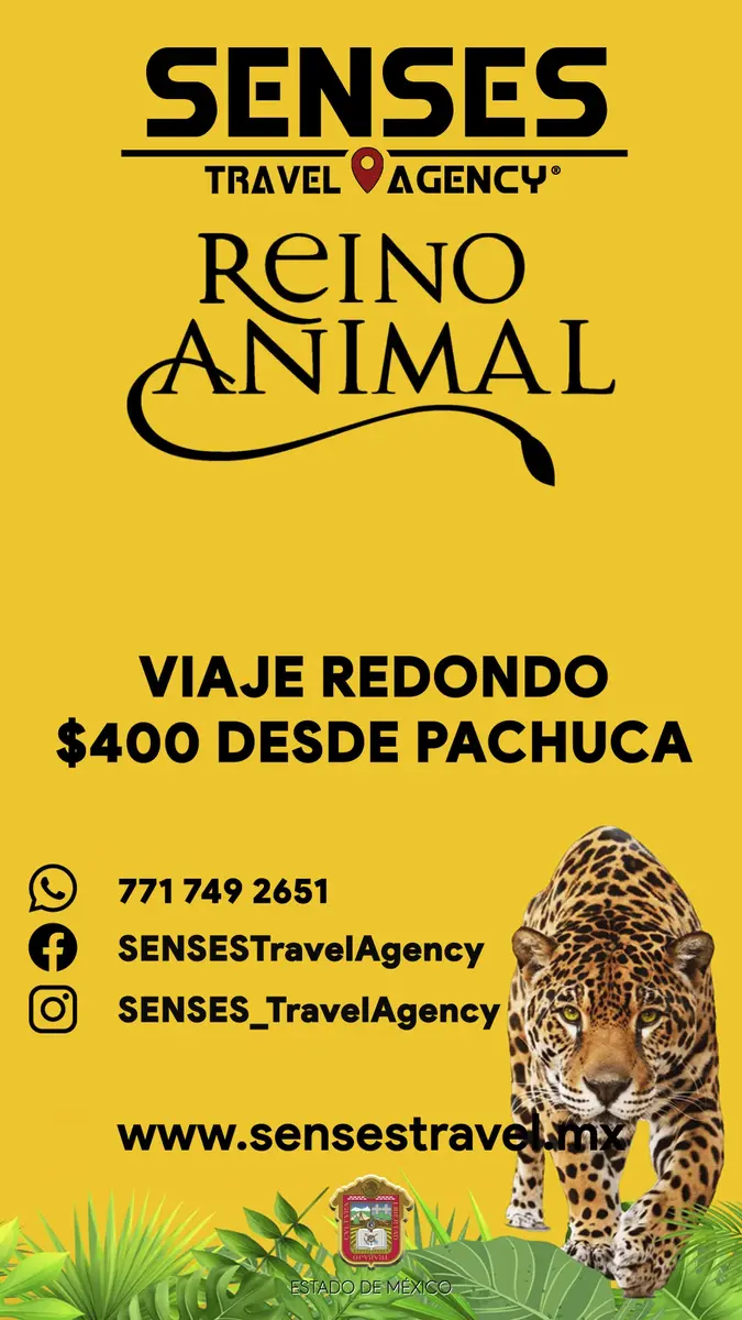 Reino Animal Pachuca