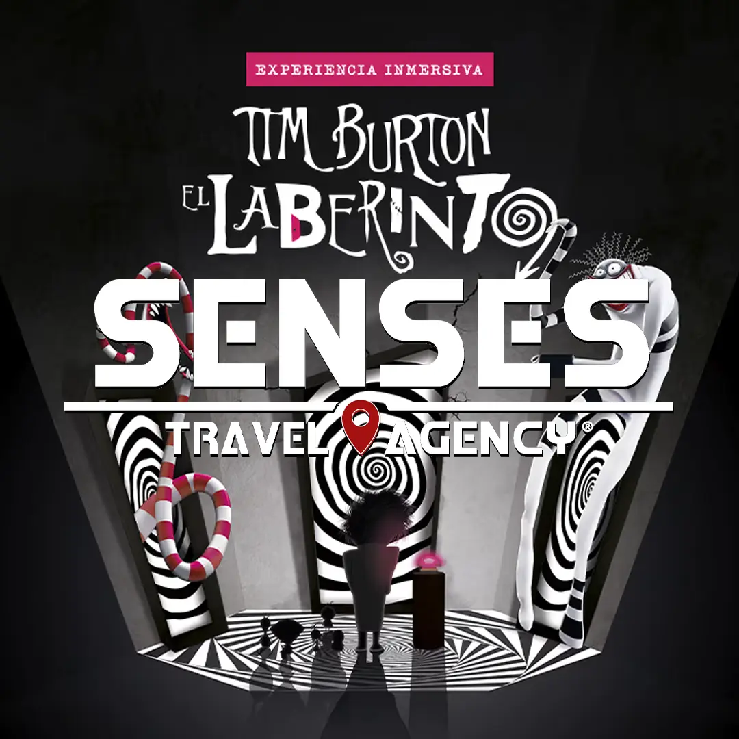 El Laberinto de Tim Burton Pachuca